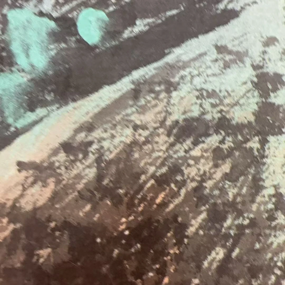 橱窗展示/齐派艺術/姜国华/宣纸国画/带证书