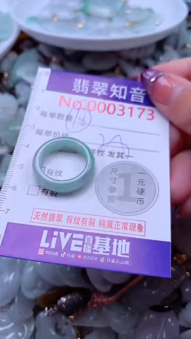 翡翠未镶嵌吊坠(不含链)3173