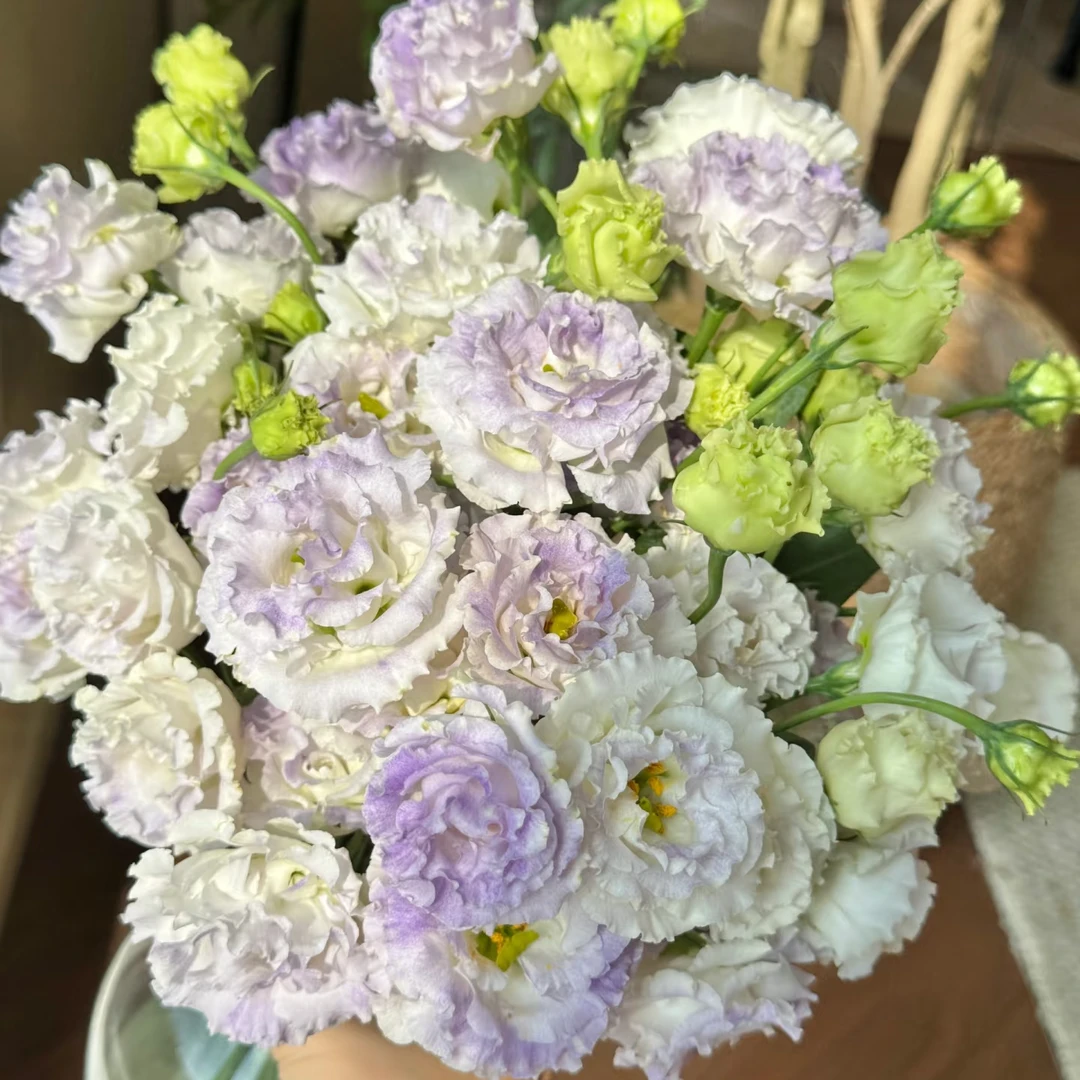 蝶舞烟灰洋桔梗一大把批发花店摆地摊基地直发家养水养