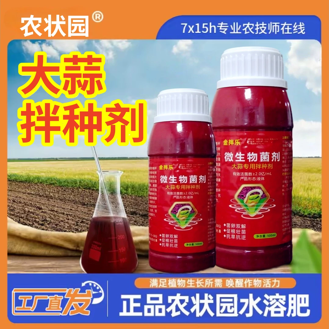 大蒜拌种剂生根壮苗提高出芽率苗齐苗壮提供营养促进生长丰收