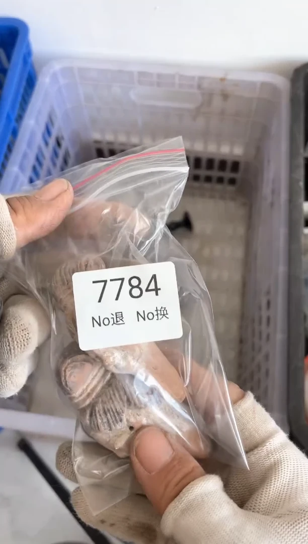 器回**切55667788202507177784