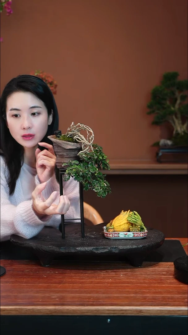 全部花朵福建茶盆景盆景盆景