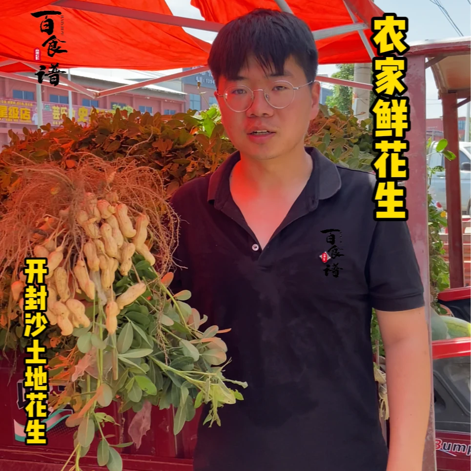 2025年河南开封沙土地新鲜半干花生农家种植现挖半干新花生