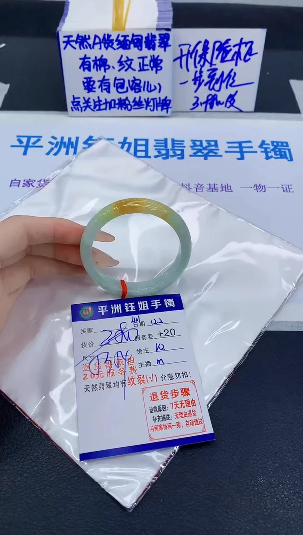 未镶嵌手镯翡翠11111