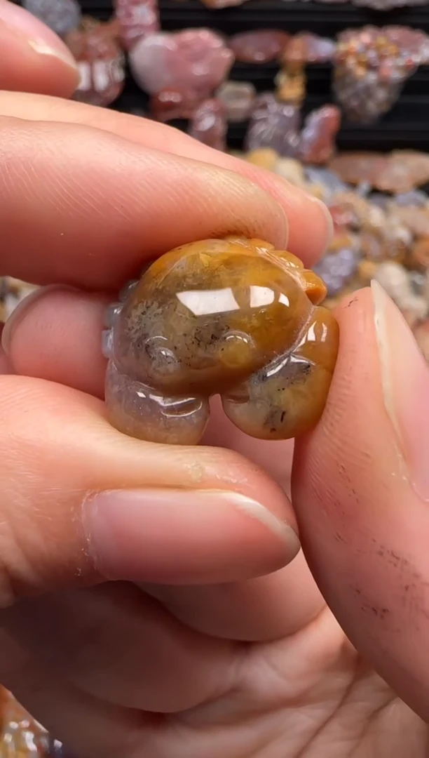 【闪购商品】硅化珊瑚（珊瑚玉）颈饰未镶嵌672