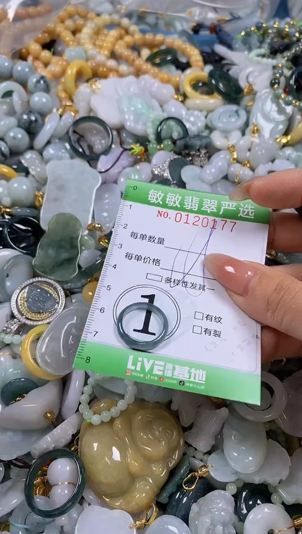 【闪购商品】翡翠颈饰未镶嵌闪购0120177