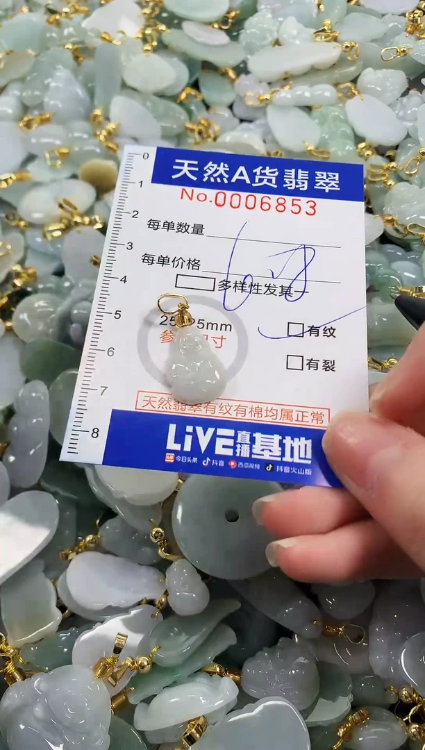 颈饰未镶嵌翡翠天然a货翡翠