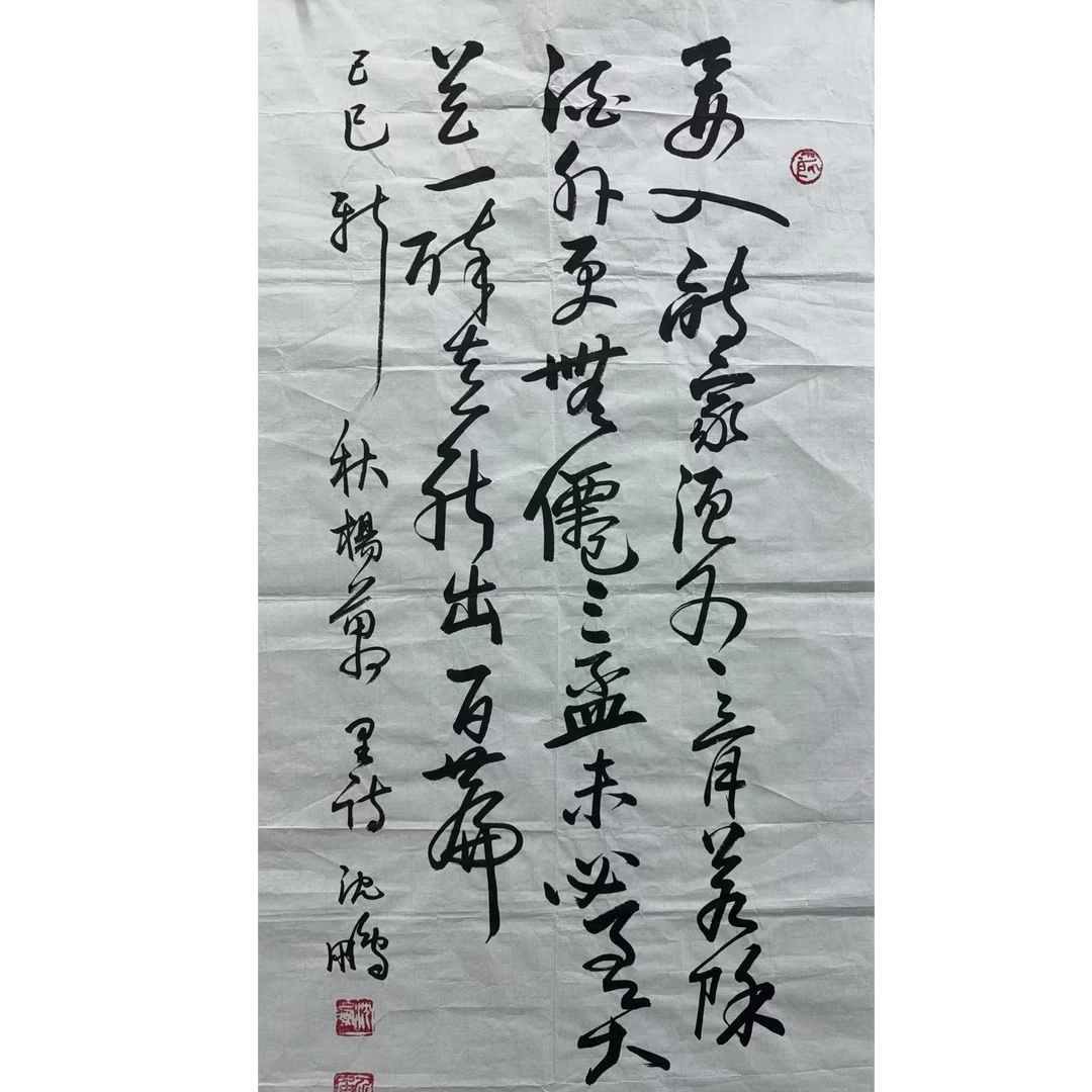 沈鹏款绘画书法画心100.504.5平尺