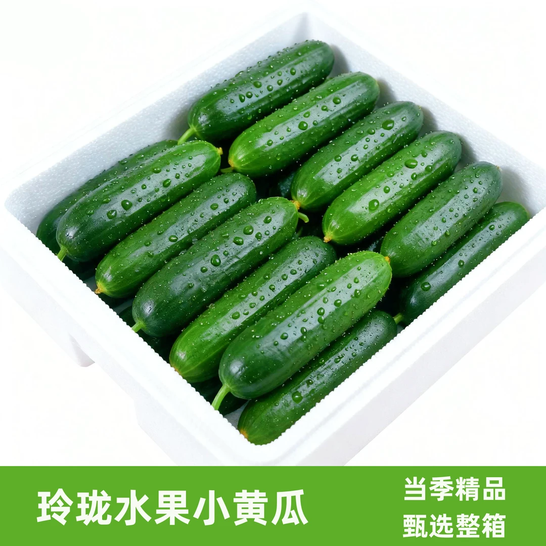 一整箱｜5斤玲珑水果黄瓜新鲜当日现摘广西自然生长蔬菜食谱1斤起