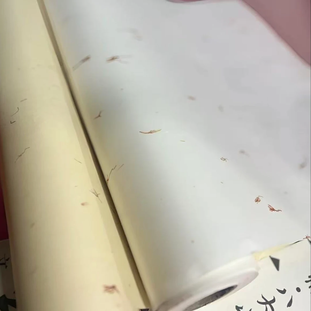 加厚48克净皮藏红花长卷生宣半生熟国画山水书法