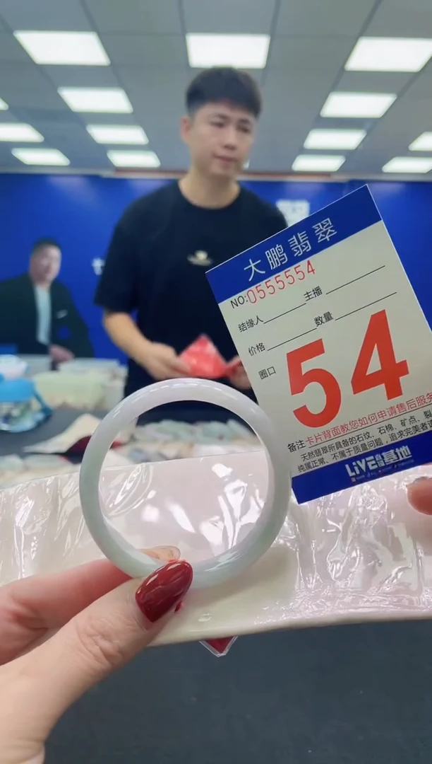 未镶嵌手镯翡翠AAAAAAAAA