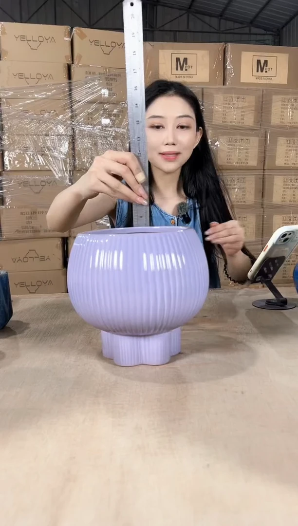 宝莲灯淡紫17x20