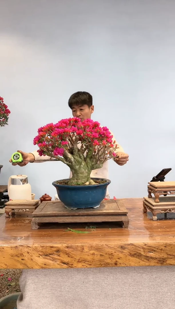 【闪购商品】aa933