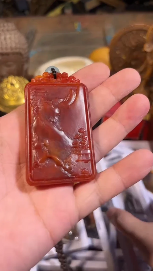 黄杨木11111111111111