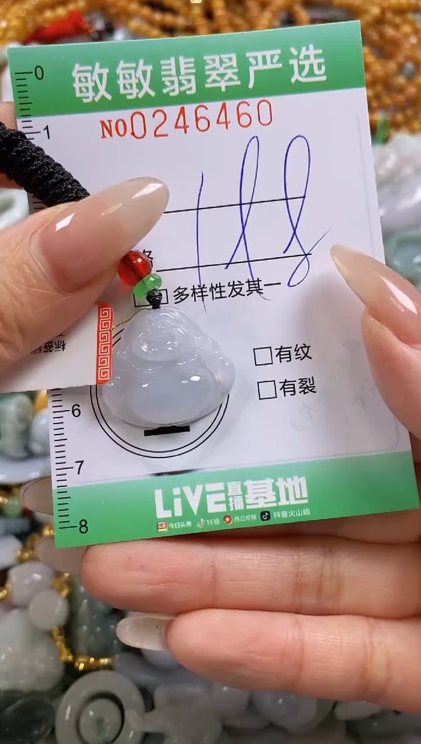 翡翠未镶嵌颈饰闪购0246460