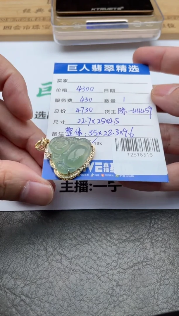 颈饰18K金镶嵌翡翠-12516316