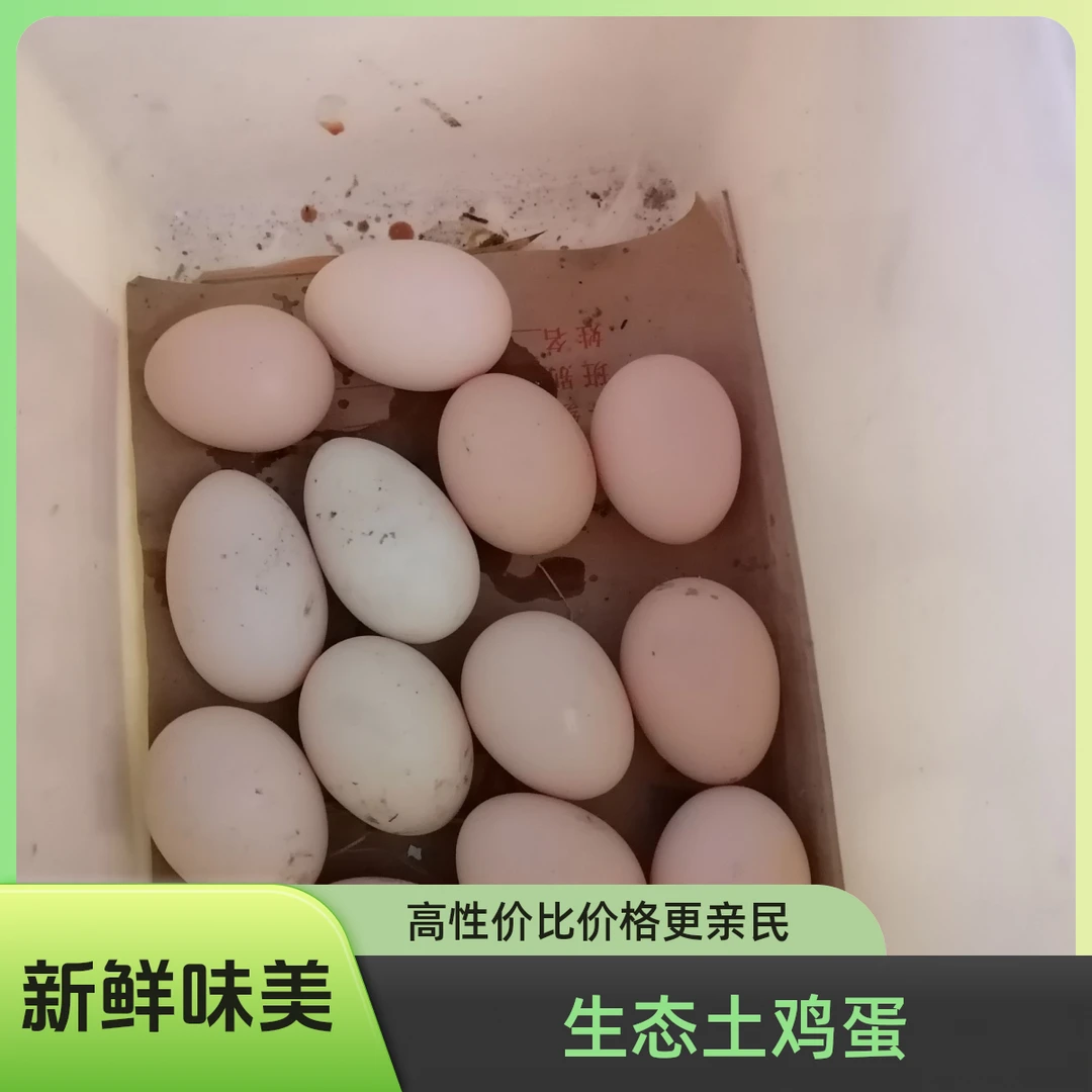 农家散养土鸡蛋新鲜无添加健康柴鸡蛋笨鸡蛋
