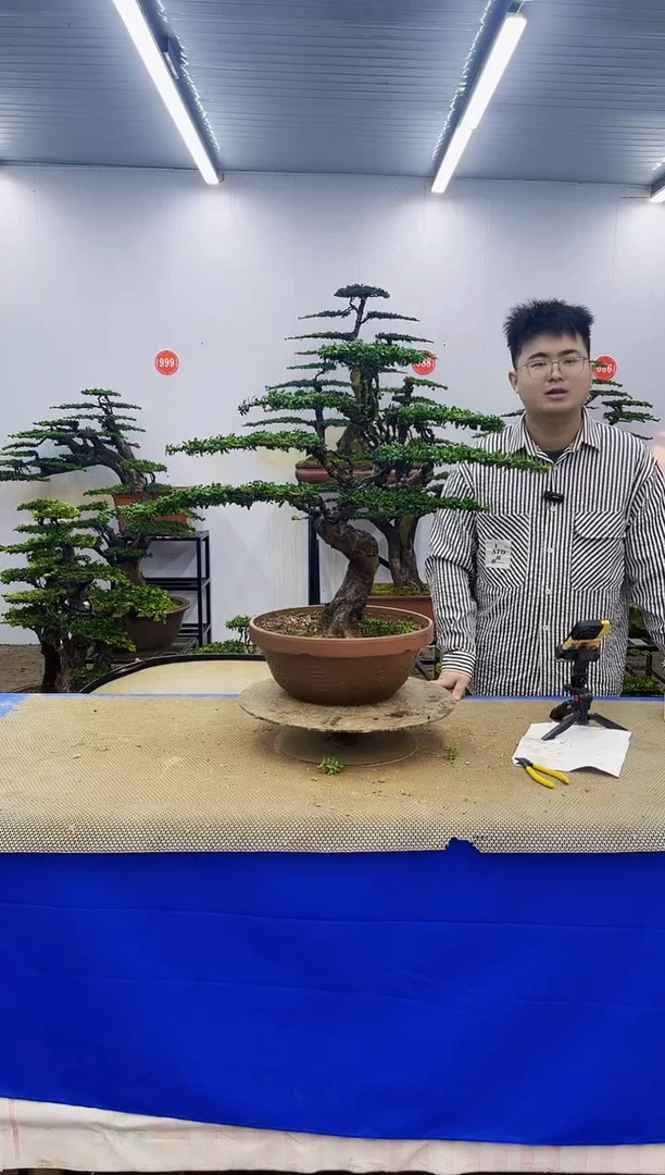 完全开放一物一拍，所见即所得