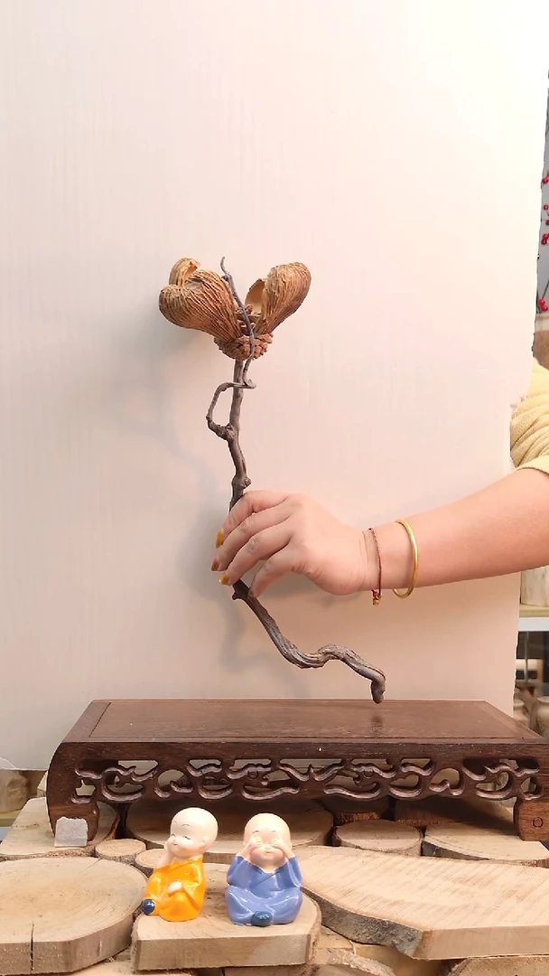 木木随机龙柳枝油画莲一只-30-40厘米