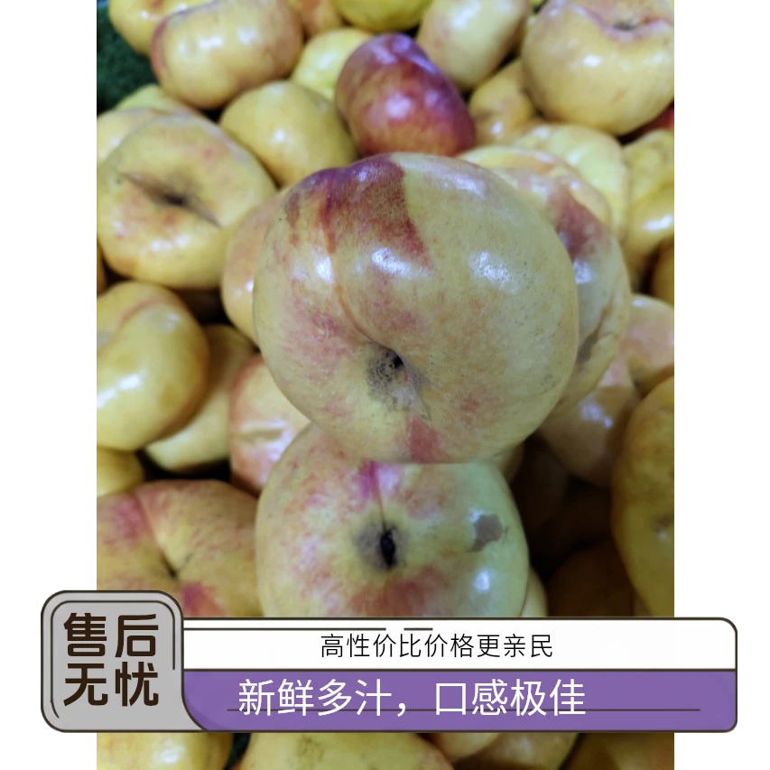 新鲜采摘黄扁大油桃山东省