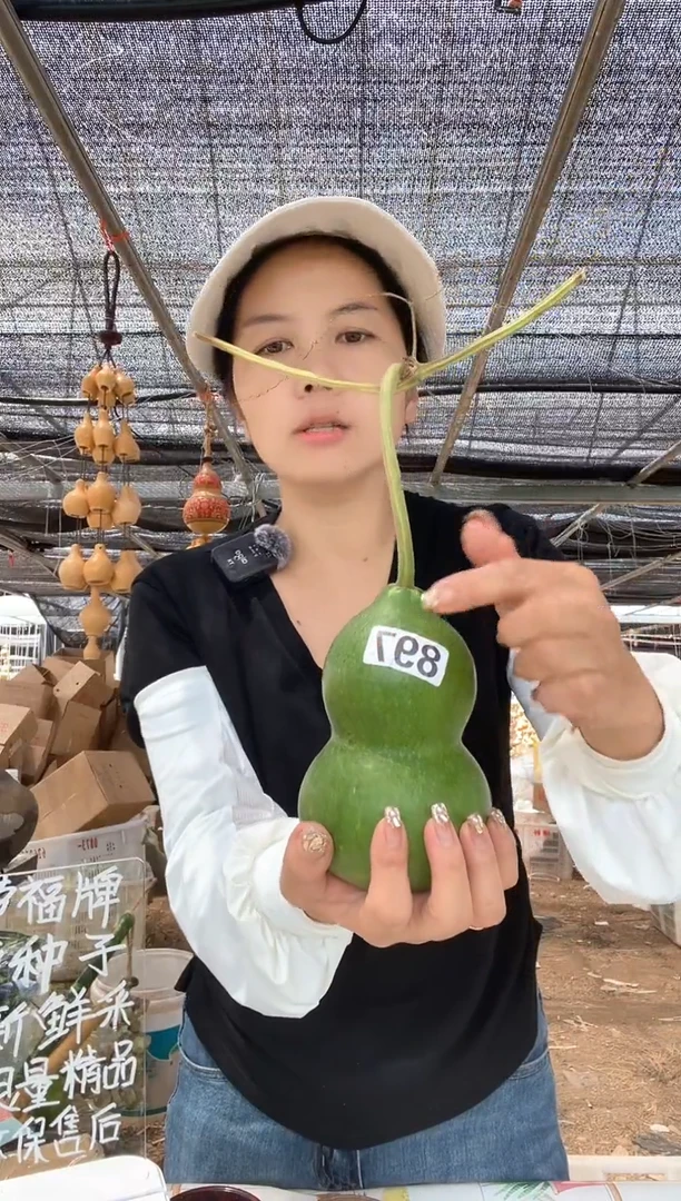 897天然葫芦摆件 一物一拍龙头不保售后