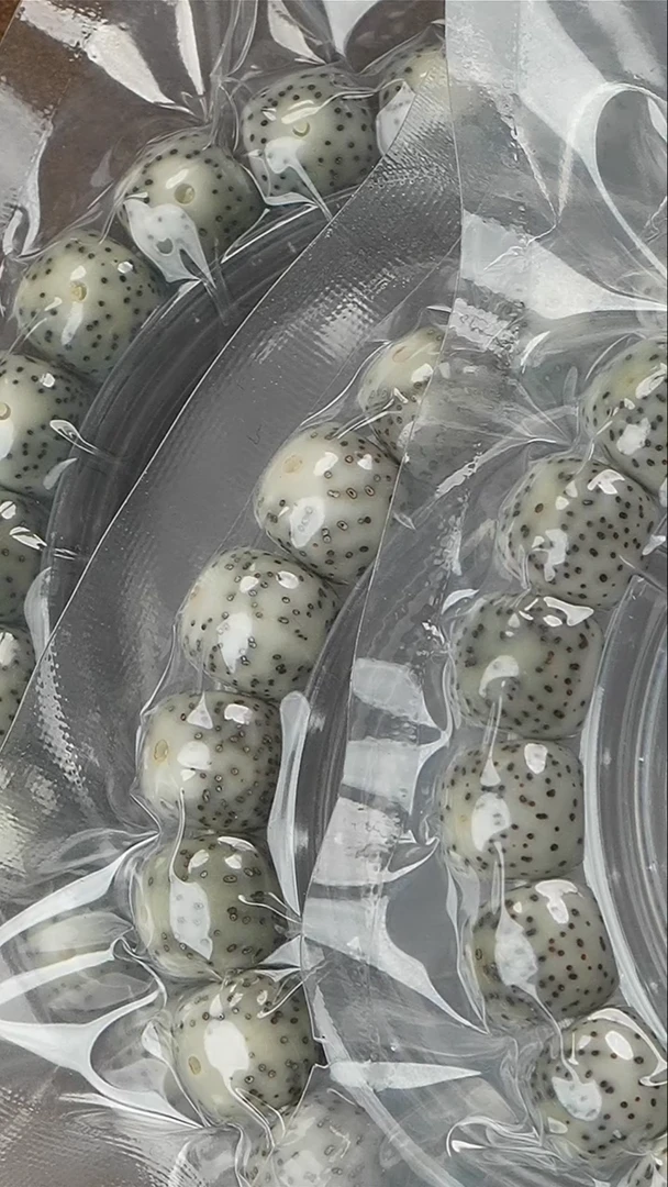 【闪购商品】星月菩提手串星月菩提14号