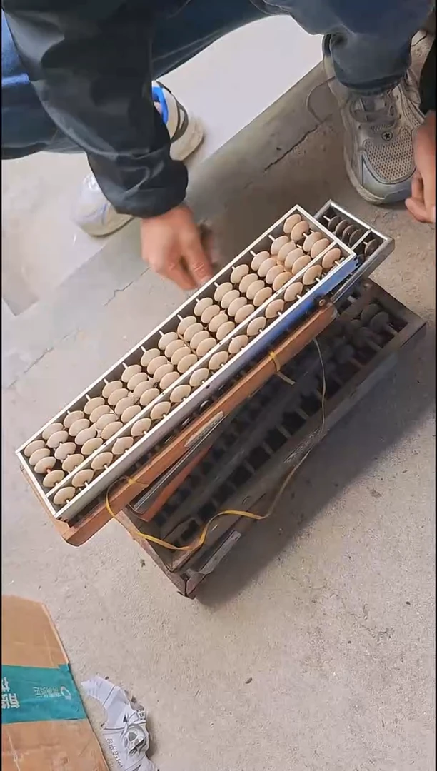 茶盏河**金直播闪购改价链接