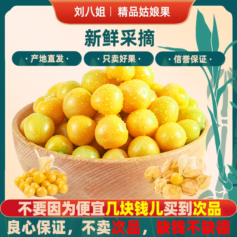 东北特产姑娘果灯笼果海伦新鲜采摘清甜多汁当季稀有水果产地直发