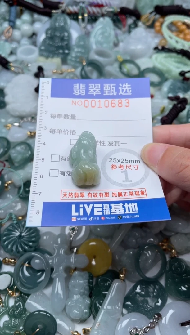 颈饰未镶嵌翡翠10683