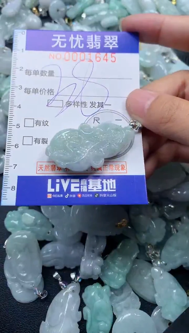 颈饰未镶嵌翡翠1645