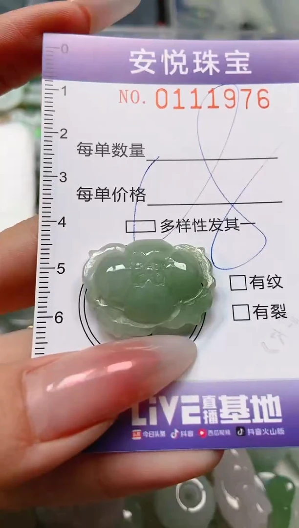 【闪购商品】翡翠颈饰未镶嵌闪购0111976