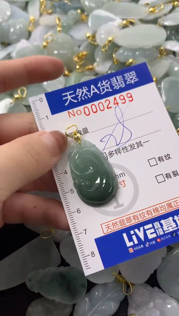 颈饰未镶嵌翡翠天然A货翡翠