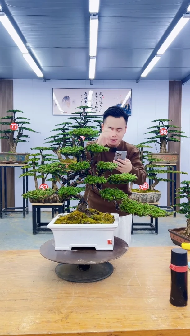 无花朵000000000000000000000000