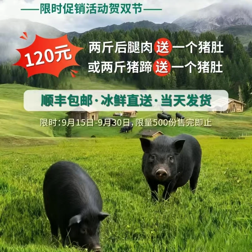 中秋国庆双节至藏香猪肉献家宴藏香猪原生态散养一年以上顺丰包邮