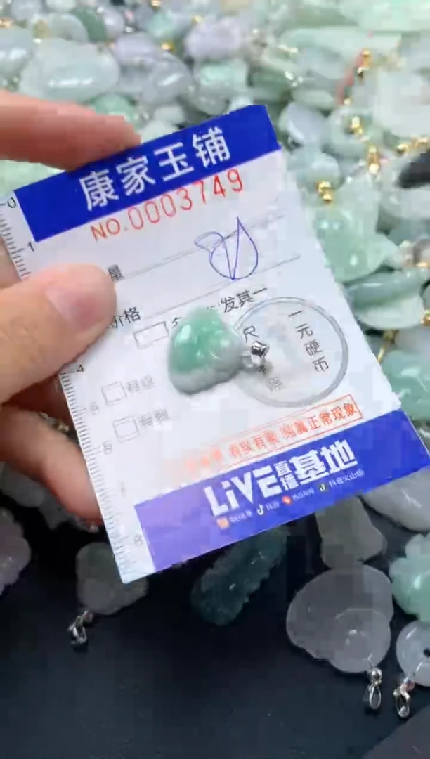 颈饰未镶嵌翡翠3749