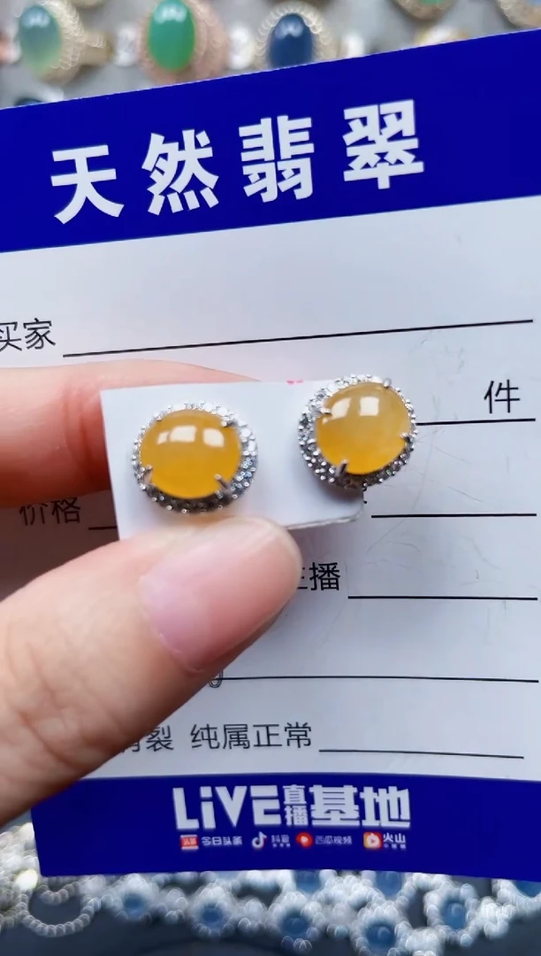 银S925镶嵌翡翠耳饰516