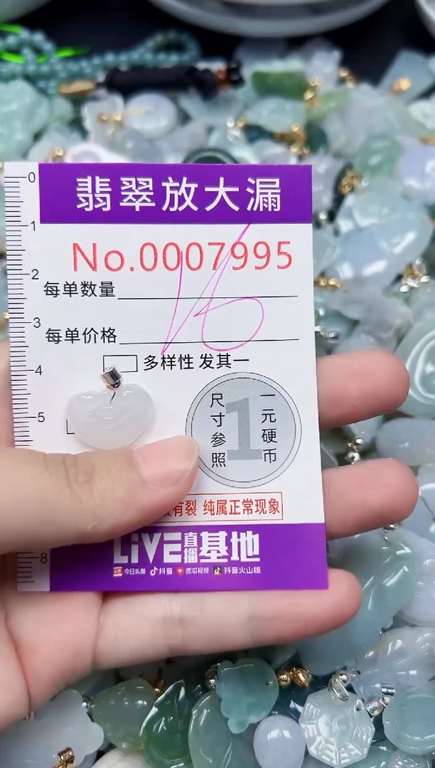 颈饰未镶嵌翡翠7995