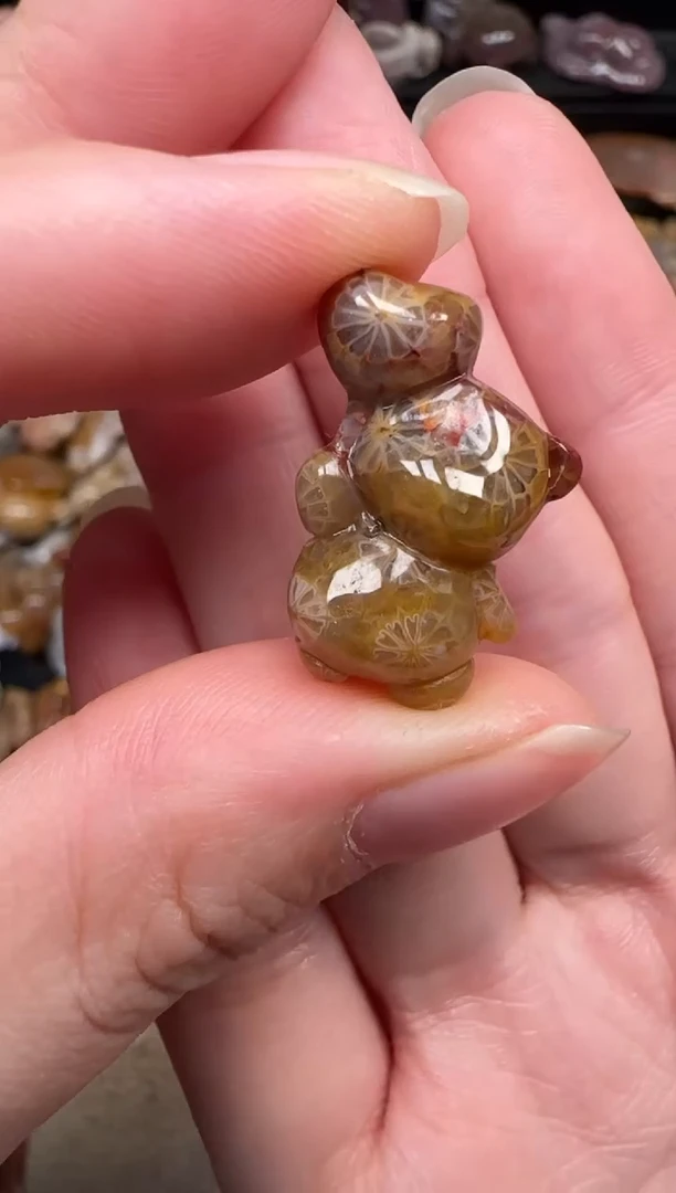 颈饰未镶嵌硅化珊瑚（珊瑚玉）171