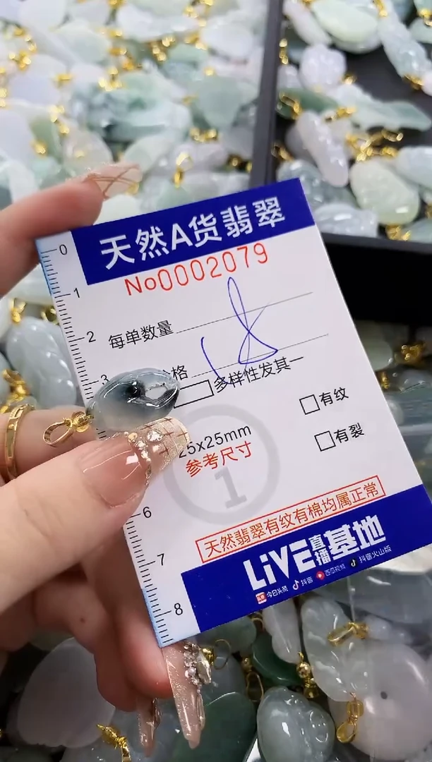 颈饰未镶嵌翡翠硬***️天然A货翡翠