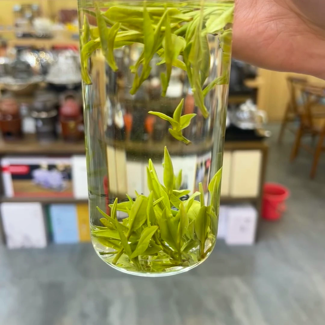 b原产地2025新茶白茶兰香绿茶鲜爽回甘高山茶