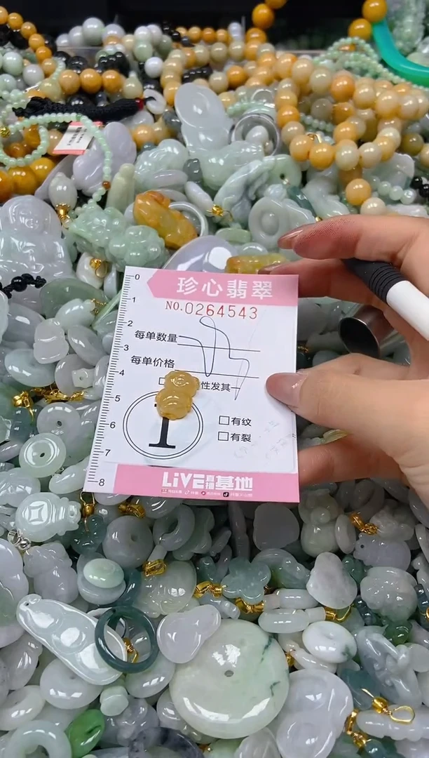 翡翠未镶嵌颈饰闪购0264543