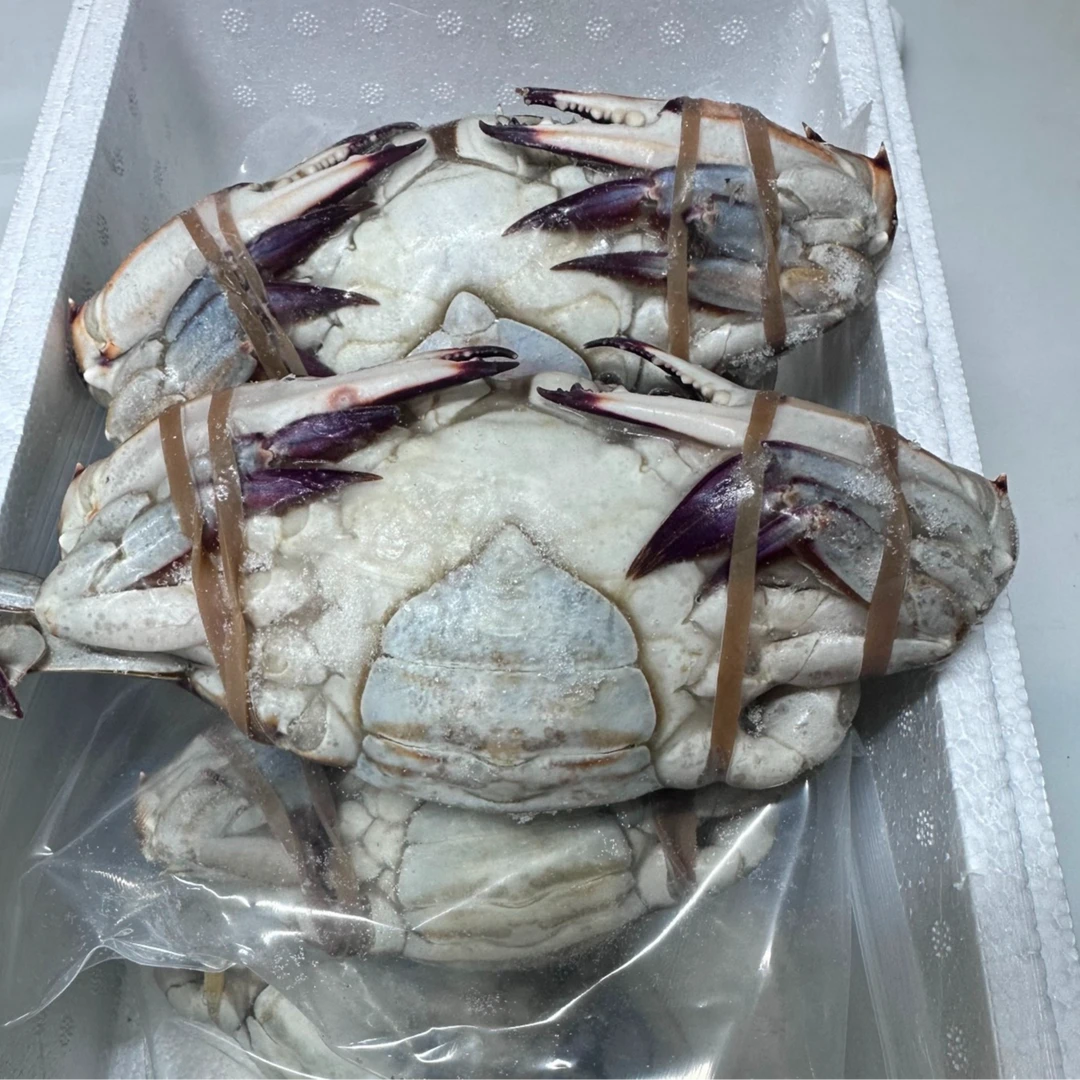 【冻蟹】圆脐母蟹梭子蟹足黄（每只4-7两）4斤  8斤