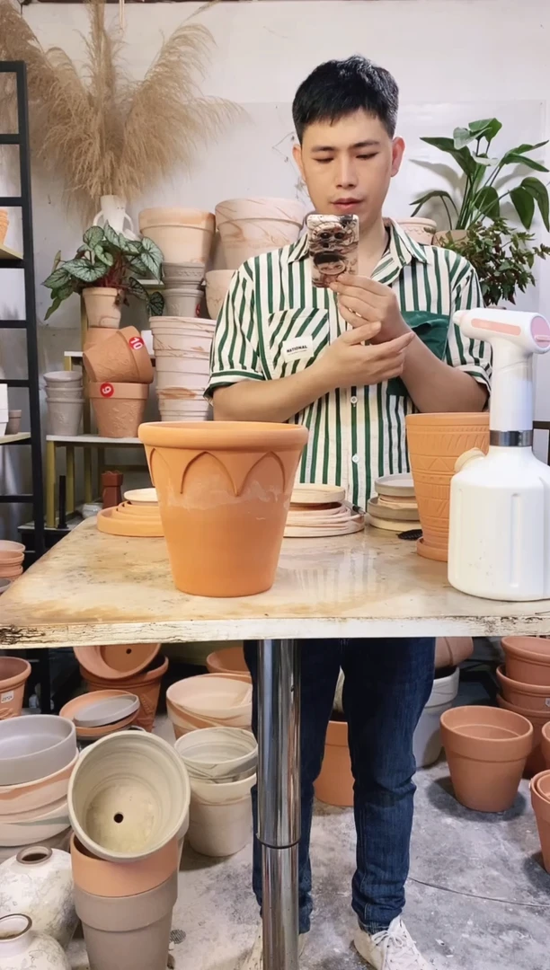 瑕疵无售后18*18红陶皇冠 1盆无托