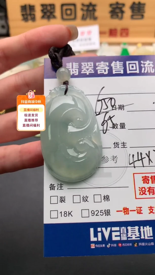 颈饰未镶嵌翡翠10146034