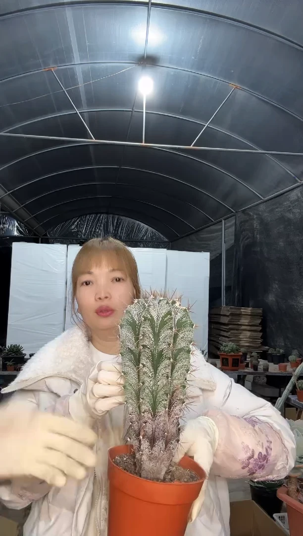 【闪购商品】水泥柱