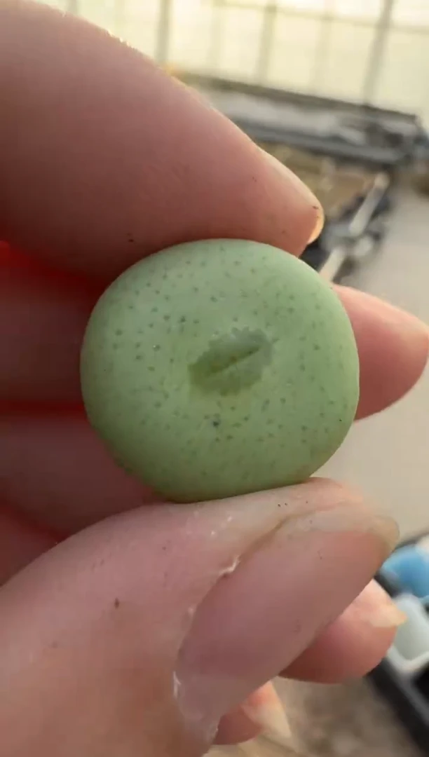 【闪购商品】6-53.