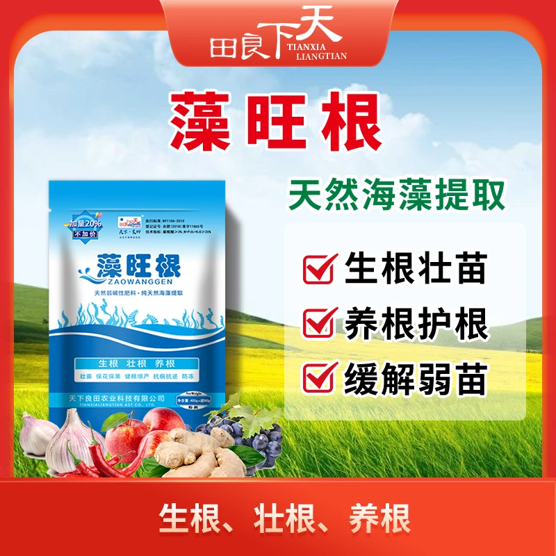 藻旺根 冲施肥 叶面肥 480g/袋   生根 养根