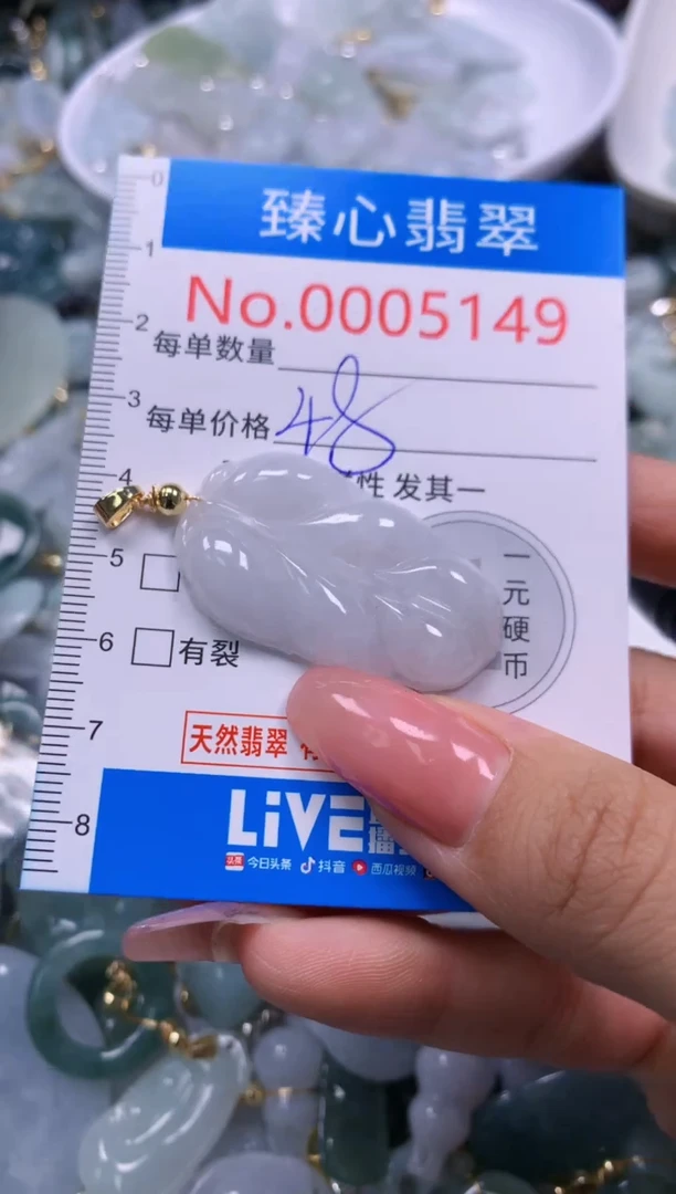翡翠未镶嵌颈饰5149
