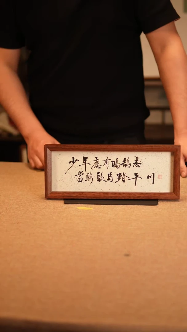 【闪购商品】书法少年应有鸿鹄志     撒点款