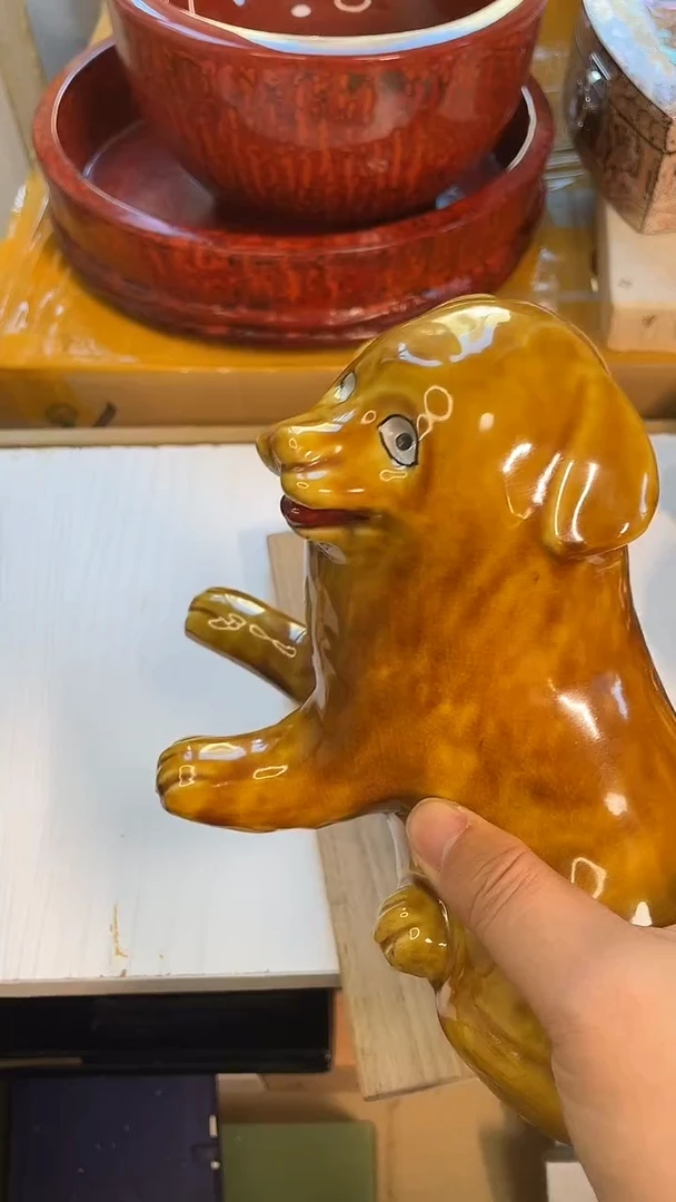 碟瓷 浅藏五十吉 忠犬